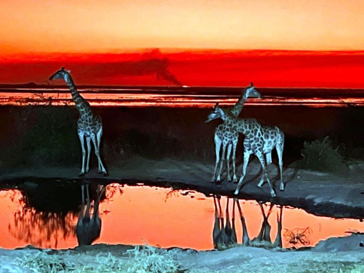 Mwandi View Hotell Kavimba Exteriör bild
